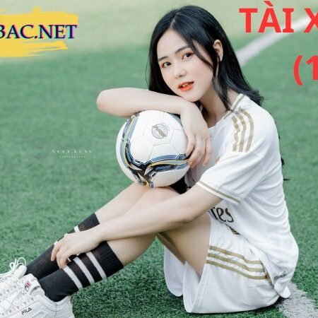 Kèo tài xỉu 1.25 (1 1/4) là gì? Cách hiểu đơn giản nhất!!!