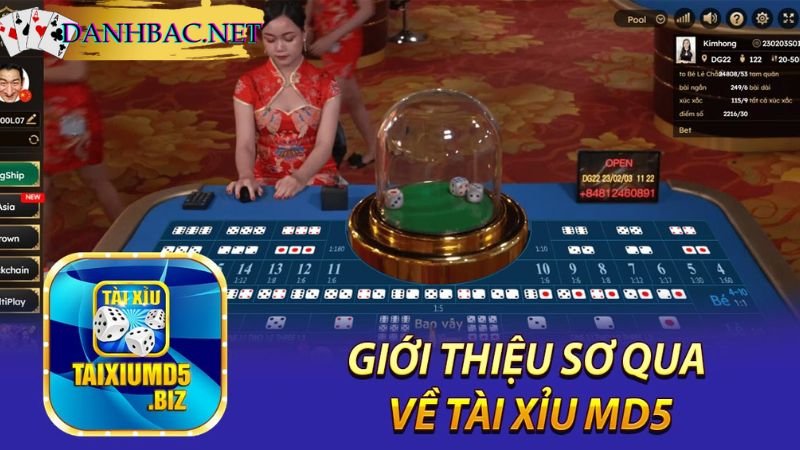 Luật chơi Tài Xỉu MD5