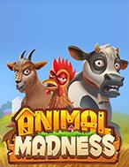 Bò Điên – Animal Madness Slot