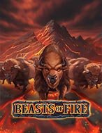 Quái Vật Nóng Bỏng – Beasts of Fire Slot