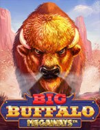 Big Buffalo Megaways Slot