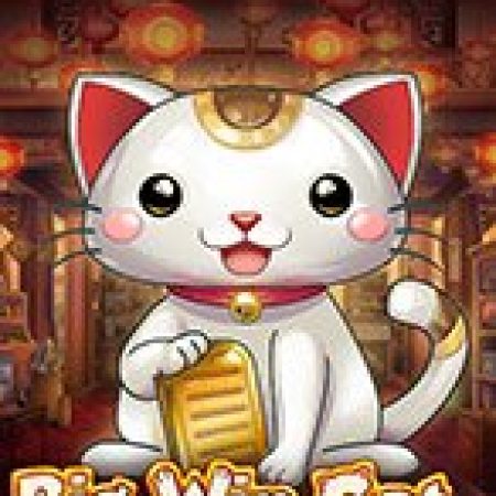 Mèo May Mắn – Big Win Cat Slot