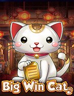 Mèo May Mắn – Big Win Cat Slot