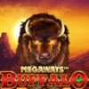 Buffalo Rising Megaways Slot