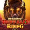 Buffalo Rising Megaways All Action Slot