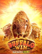 Cuộc Chiến Hoang Dã – Buffalo Win Slot