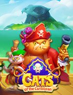 Mèo Vùng Carribbean – Cats of the Caribbean Slot