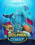 Kho Báu Cá Heo – Dolphin Coast Slot