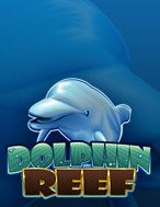 Dolphin Reef Slot