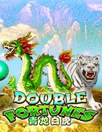 Double Fortune Slot