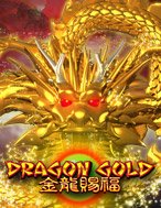 Dragon Gold Slot