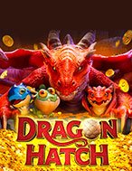 Kho Báu Rồng – Dragon Hatch Slot