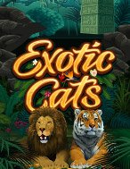 Chúa Sơn Lâm – Exotic Cats Slot