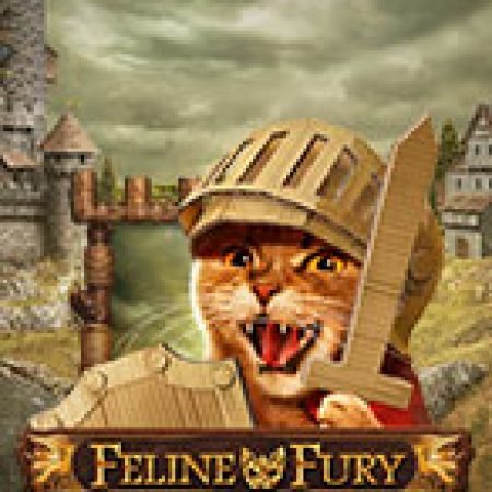 Chú Mèo Tức Giận – Feline Fury Slot