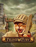 Chú Mèo Tức Giận – Feline Fury Slot