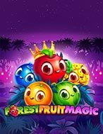 Forest Fruit Magic Slot