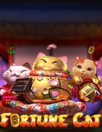 Fortune Cat Slot