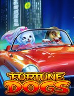 Fortune Dogs Slot