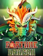 Fortune Dragon Slot