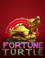 Fortune Turtle Slot