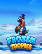 Mùa Đông Nhiệt Đới – Frozen Tropics Slot