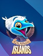 Galapagos Islands Slot