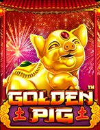 Chú Lợn Vàng – Golden Pig Slot