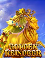 Golden Reindeer Slot