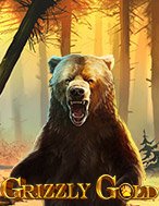 Grizzly Gold Slot