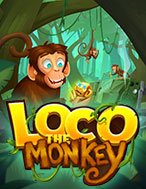 Loco the Monkey Slot