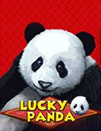 Lucky Panda Slot