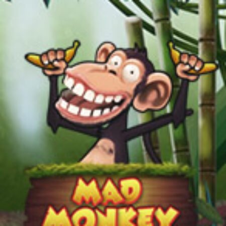 Mad Monkey Slot