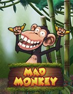 Mad Monkey Slot