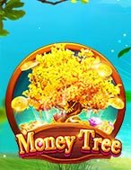 Money Tree Slot