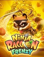 Ninja Gấu Mèo – Ninja Raccoon Frenzy Slot