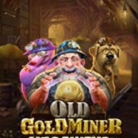 Mỏ Vàng Bị Lãng Quên – Old Gold Miner Megaways Slot