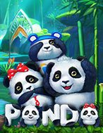 Panda Slot