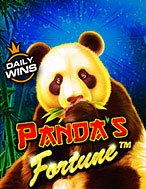 Gấu Trúc May Mắn – Panda’s Fortune Slot