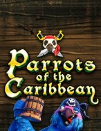 Parrots of the Caribbean Slot