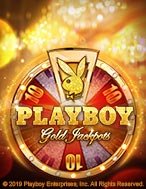 Playboy Gold Jackpots Slot