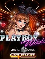 Playboy Wilds Slot