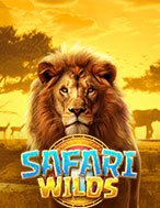 Mãnh Thú Vương – Safari Wilds Slot