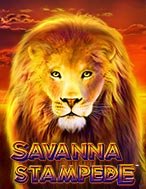 Savanna Stampede Slot