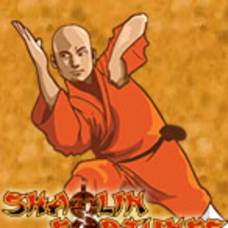 Shaolin Fortunes Slot