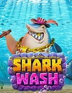 Shark Wash Slot