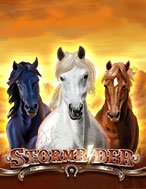 Storm Rider Slot