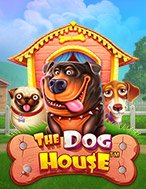 Thế Giới Cún Cưng – The Dog House Slot