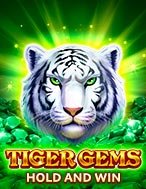 Tiger Gems Slot