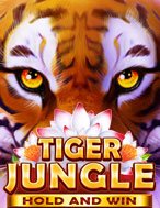 Tiger Jungle Slot