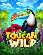 Toucan Wild Slot